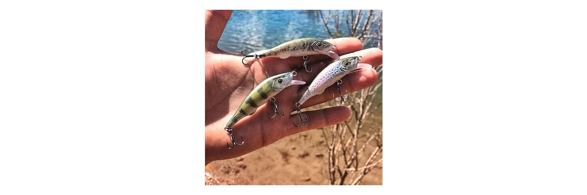 Revolution im Kunstköder-Design: Die einzigartige Mimetic-Beschichtung von Fishus - Mimetic Hardbaits von Fishus – Täuschend echte Köder!