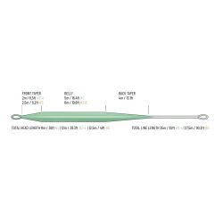 GUIDELINE Fario CDC WF #5