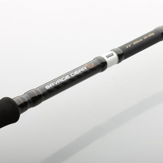 Savage Gear SG2 Power Game 243 cm 70-150 g