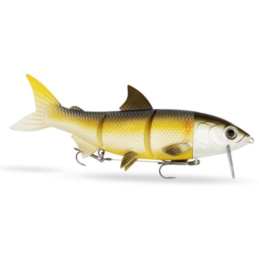 FishingGhost® - Renky®One 35cm - Hybrid Swimbait in Renkenform Bundle - Set