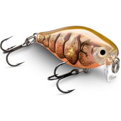 Rapala X-Light Crank Shallow Runner, 3,5 cm