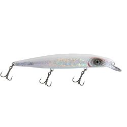 Fishus Espetit Class-D