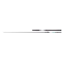 Balzer 71° North Boat 30 Inliner Bootsrute 2,15 m