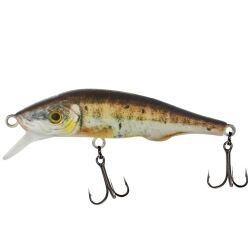 Fishus Espetit Jerk SK (Silent)