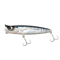 Fishus Ubuntu Popper