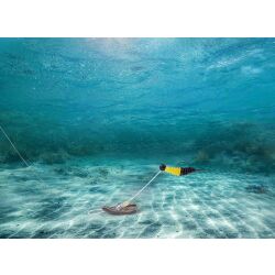 Balzer Perchman Rig Trout