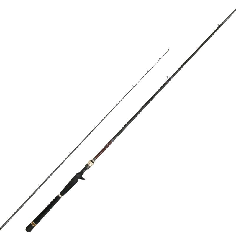 Fishus FW Ruten  Hochwertige Baitcaster & Spinnruten online kaufen!