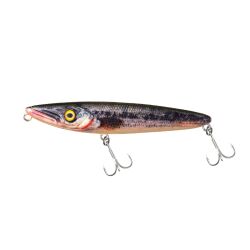 Fishus Espetit 95mm, 10,5 g