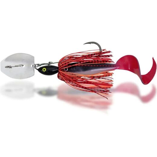 Black Cat Cat Chatter