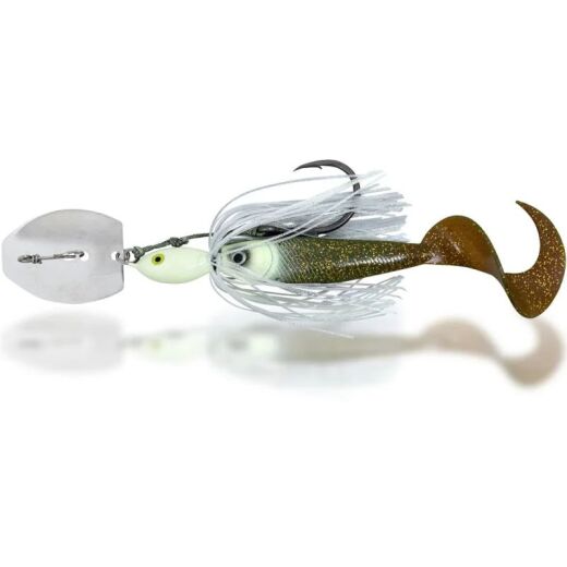 Black Cat Cat Chatter