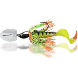 Black Cat Cat Chatter