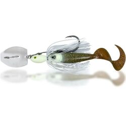 Black Cat Cat Chatter