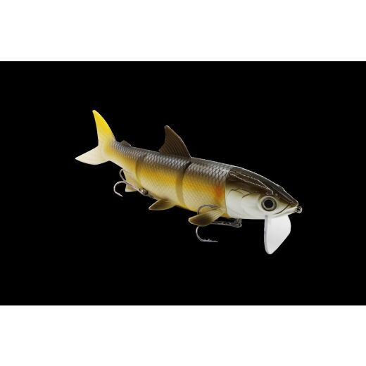 FishingGhost Renky One 25 cm Rudd