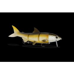 FishingGhost Renky One 25 cm Rudd