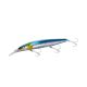 Sardine